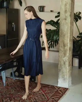Gaia Pleated Dress